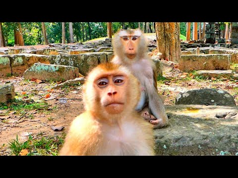 LEO tries to ask Cameraman for something to eat with his family like Mama Libby and Sister Rainbow.