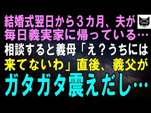 【スカッとする話】結婚式翌日から3カ月間、夫が毎日義実家に帰っている…相談すると義母「え？うちには来てないけど…」直後、義父がガタガタ震えだし…【修羅場】