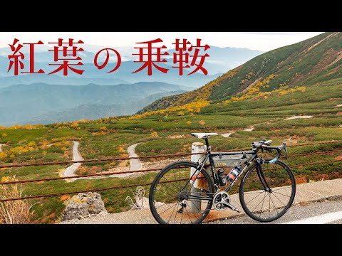 Norikura Echo Line Hill climb (Nagano, Japan)