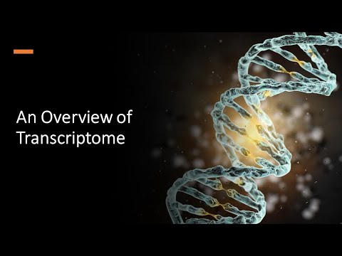 An Overview of Transcriptome