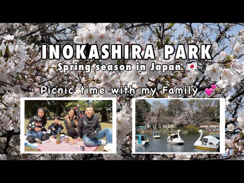 INOKASHIRA PARK | Kichijoji Tokyo, Japan 🇯🇵 #spring2024