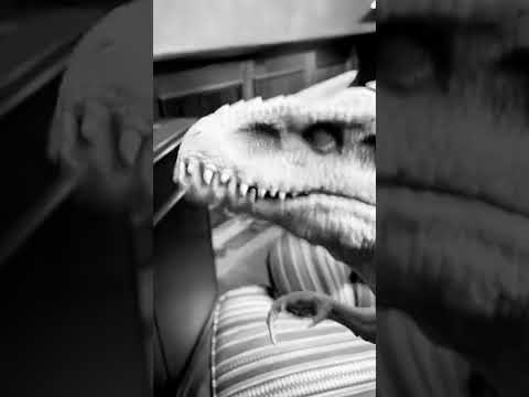 Jurassic World: Rexy & Pals 55 #shorts