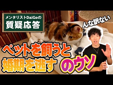 【メンタル】ペットが人間の精神に与える影響とは！？【メンタリストDaiGo】