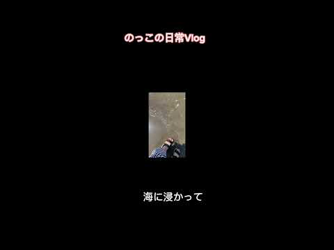 【アラフィフ主婦の休日VLOG】N-boxで心友に会いに行って来ました♪