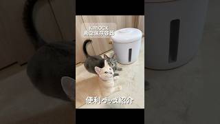 【おすすめグッズ】真空保存容器ほんとに便利！#猫 #猫のいる暮らし #猫好きさんと繋がりたい #便利グッズ