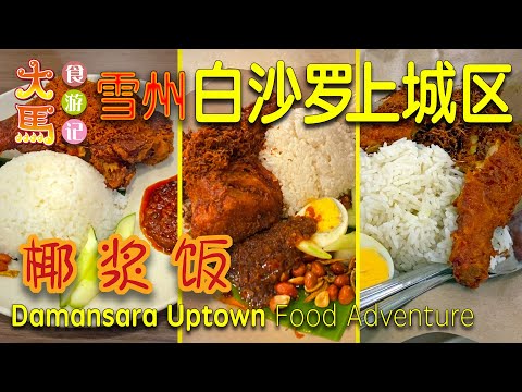 雪州【白沙罗上城区】椰浆饭一条街比三家 ～ 食游记 😘 Nasi Lemak Shops at Damansara Uptown Selangor @MYFoodAdventure