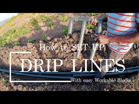 How to Set Up Drip Lines with Easy Block Sections | Farm Life Uncovered