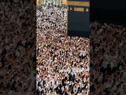 Live Hajj Today #shortsfeed #viral #youtubeshorts #viral #shorts