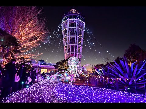 【4K】江の島「湘南の宝石」イルミネーション2024