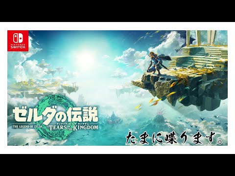 ゼルダの伝説　Tears of the Kingdom 実況9