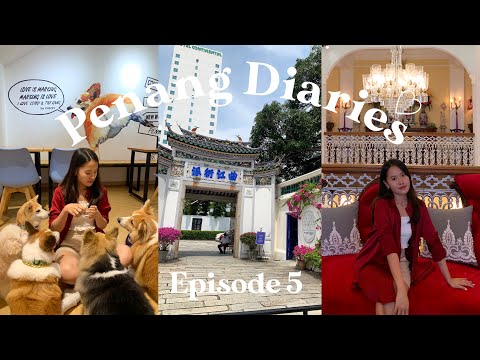 penang diaries ep.5☁️| corgi cafe 🐶| morning kopitiam🥱| promenade walk🏃🏻‍♀️| food hunt✨