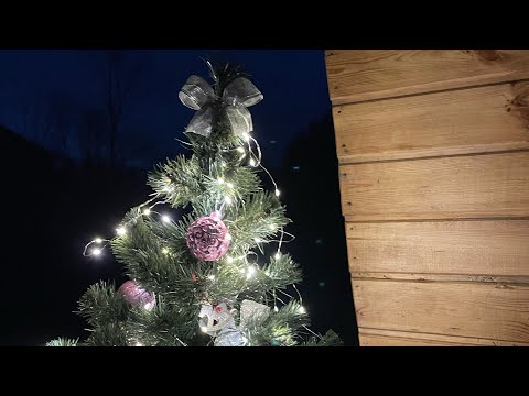 27.12.24. Стрим из села с Журавлевыми! Розыгрыш подарка!