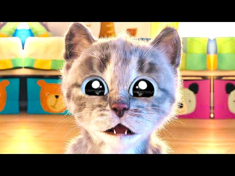 CUTE LITTLE KITTEN ADVENTURE OF A LITTLE KITTY 😸 Cat Play Fun Pet Care VIDEO FOR PRESCHOOLERS #1174