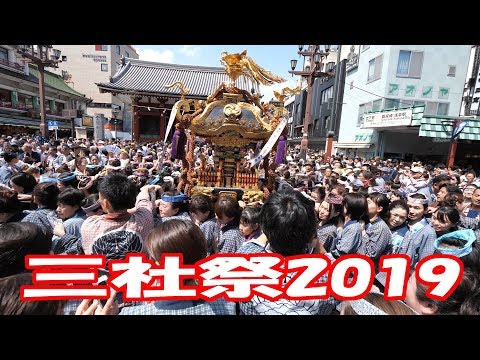 【三社祭2019】#1 大迫力!!!!  2019/5/19