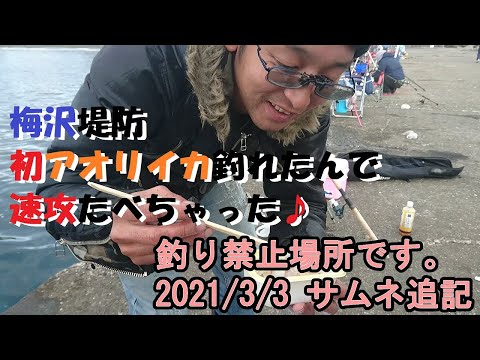 梅沢堤防＋アオリイカ＝激ウマでしょう【釣り禁止場所でした。】