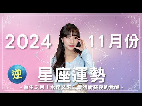 11月星座運勢｜重生之月！水逆😥激烈衝突後的覺醒｜2024運勢