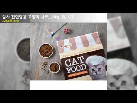 탐사 전연령용 고양이 사료, 20kg, 닭, 1개