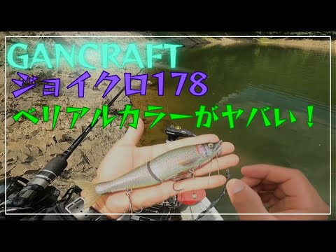 【ジョイクロ】 リベンジ成功？ リアルカラー がやばい！【リザーバー】【ビッグベイト】【バックウォーター】