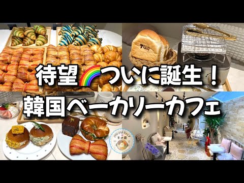 【新大久保グルメ】行列必至🌈可愛い韓国パン勢揃い！カフェが誕生！！