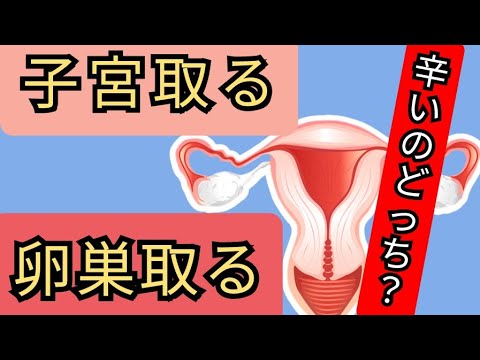 【どっちが辛い？】子宮摘出と卵巣摘出をするのですが不安です、、、