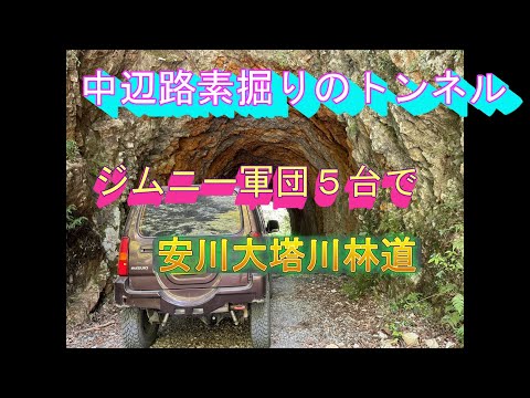 [jimny]和歌山県、中辺路の林道路肩崩れて行けない！素掘りのトンネル2024.8.18