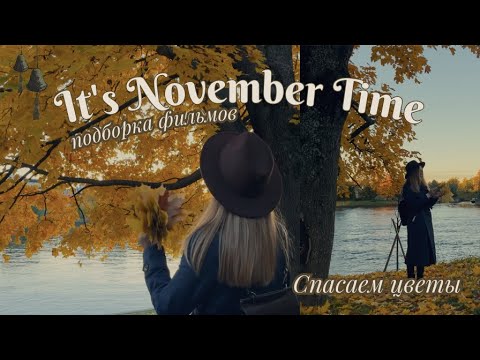 ноябрьские дни 🍂 🕯️ спасение цветка, подборка атмосферных фильмов