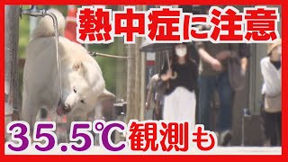 きょうの全国最高は北海道　３５．３℃で猛暑日観測