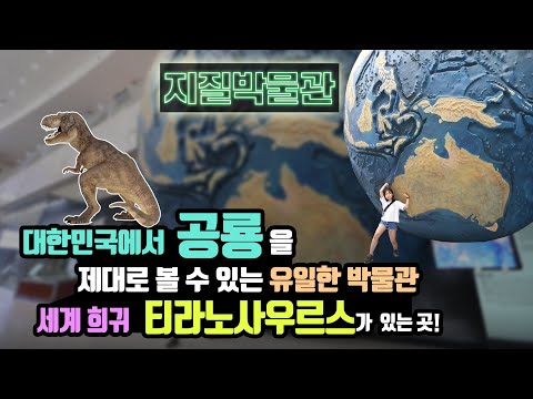 대한민국에서 공룡을 제대로 볼 수 있는 유일한 박물관, 세계 희귀 티라노사우르스를 만날 수 있는 '지질박물관'