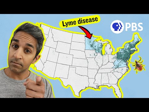 Lyme Disease Cases Are Surging. Who Is Most At Risk?