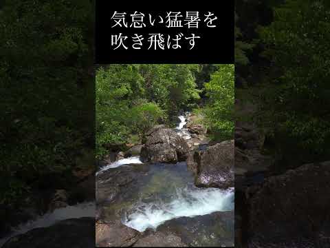 兵庫県を代表する避暑地・多可町なかやちよの森