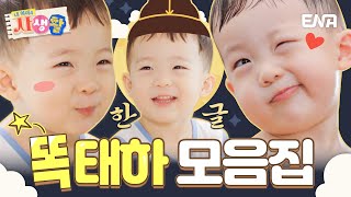 [#내아이의사생활] 하이라이트 | 세종대왕님도 감탄한 똑똑한 태하 모음집👍 | ENA 채널 | 토요일 저녁 8시 30분