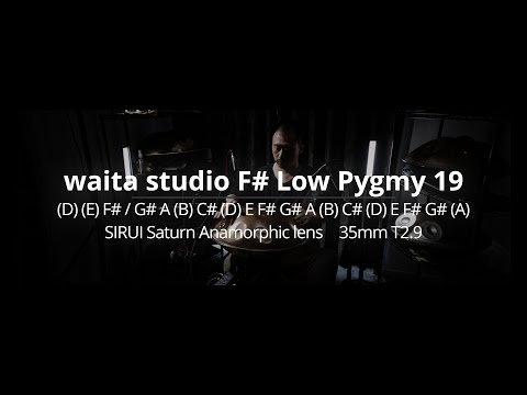 waita studio F# Low Pygmy 19 20240916