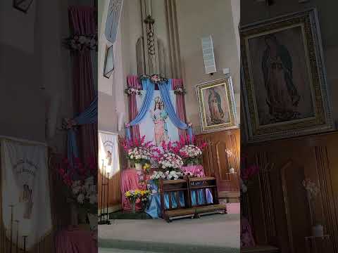 Virgencita del Rosario ruega por nosotros cada día de nuestra vida Amén 🙏🥺