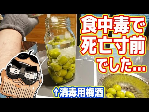 【食中毒で死にかけました】クッソ旨い梅酒を自作し内臓を消毒します！