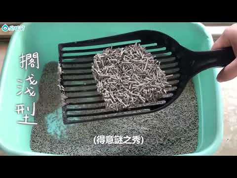 【臭味滚除臭豆腐猫砂】挑战猫砂的各种型态🐱