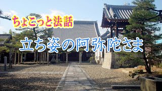 ちょこっと法話「立ち姿の阿弥陀さま」