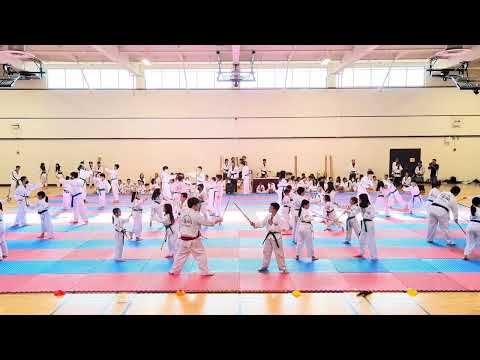 Hidden Dragon TKD 16th Anniversary