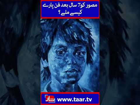 Kabhi Main Kabhi Tum Uses Stolen Work Of Artist ? | TaarMedia | @TaarMedia