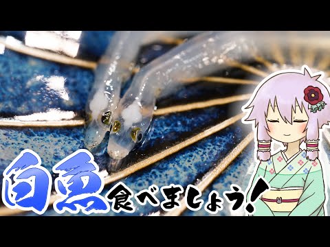 結月ゆかりのお腹が空いたのでVol.42「白魚食べましょう」