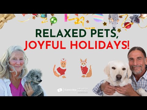 Calm Pets, Happy Holidays: Expert Solutions for Stress-Free Festivities