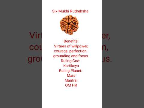 Six Mukhi Rudraksha #shorts #ytshorts #rudraksha