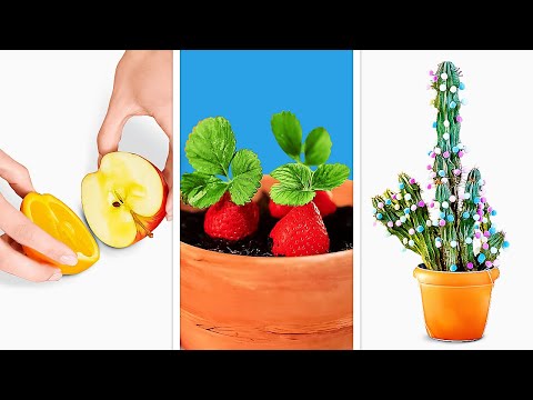 Smart Ways to Grow Mini Garden at Home 🌿 Planting Hacks