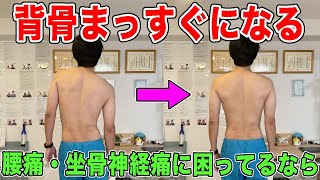 【背骨まっすぐストレッチ】姿勢改善で腰痛や坐骨神経痛も治る！【側弯症 治し方 筋トレ】