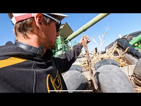 Corn Heads Don’t Like Steel!! Ep. 15