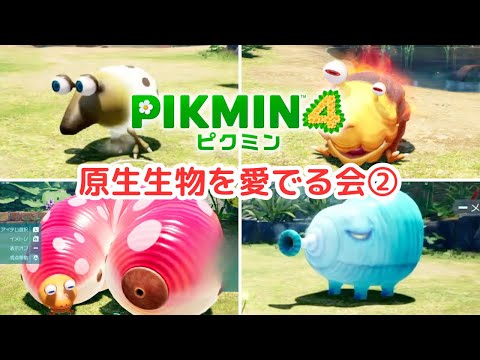 【原生生物を愛でる会②】デメマダラ後半〜ブタドックリ【ピクミン４】