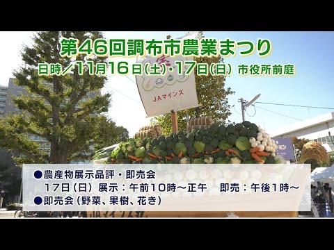 第46回調布市農業まつり(2024年11月5日号)