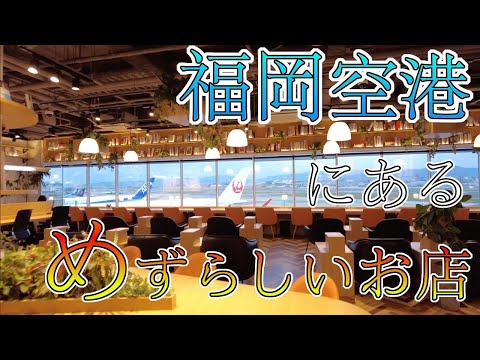 【福岡空港にあるめずらしいお店】福岡空港　福岡観光　Shops at Fukuoka Airport　Japan　후쿠오카 공항의 가게　일본　福冈机场的商店　日本