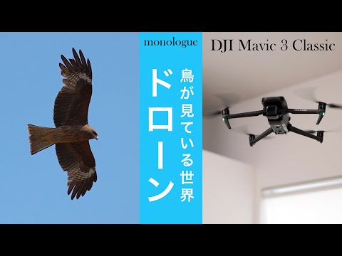 ドローン【VLOG-monologue】鳥が見ている世界はこんなに美しかった。ドローンパイロット二等無人航空機操縦士がゆる〜く語ります。毎日動画投稿