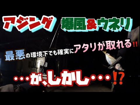 【アジング】爆風＆ウネリ有の中でも繊細なアタリを確実に取れるチタンティップ‼️が、しかし･･･ #アジング #津山ベース