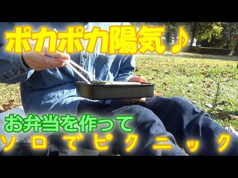 せっかくの良い天気なので、弁当を作ってソロでピクニックしてみた